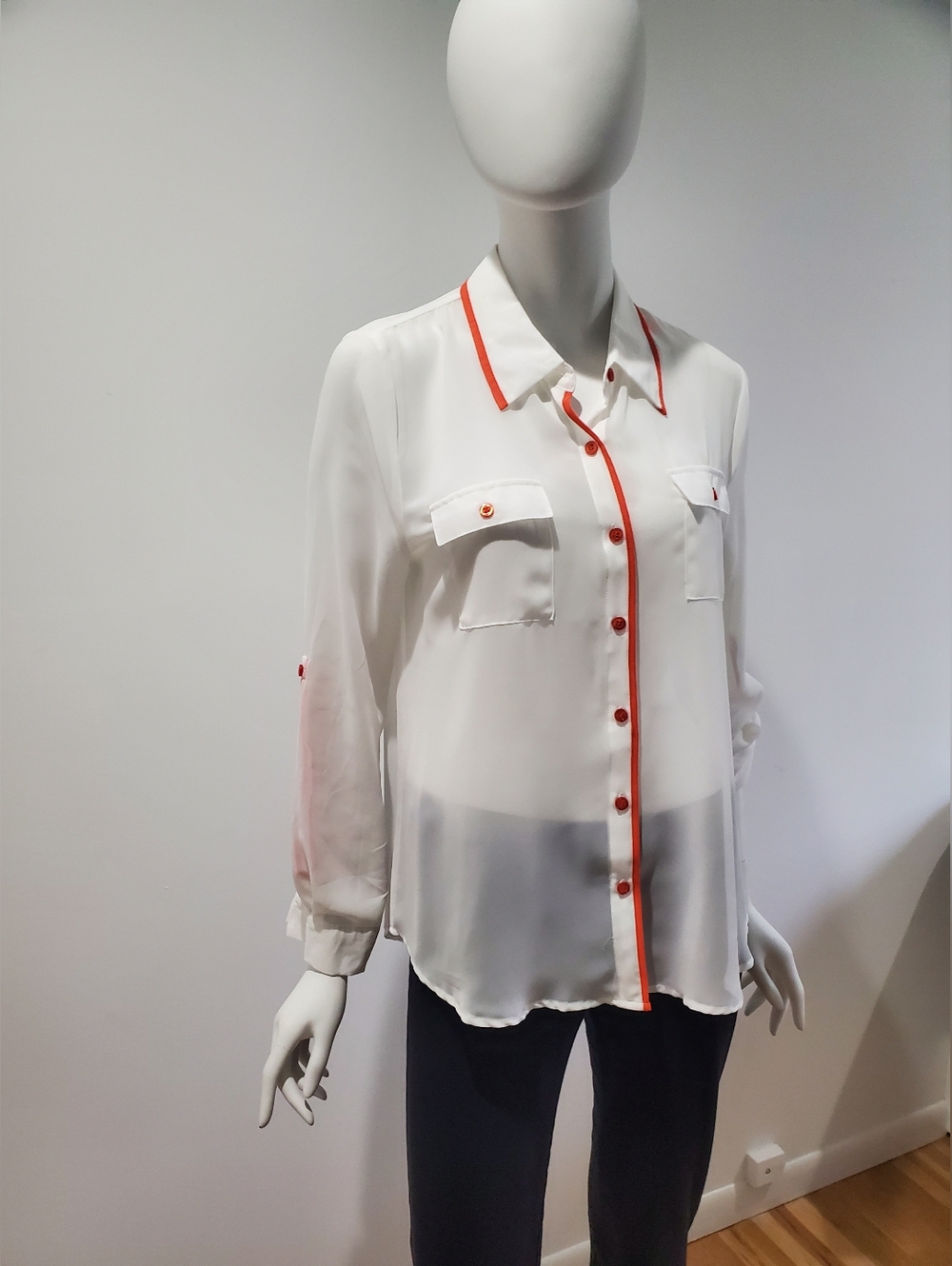 Sheer Blouse